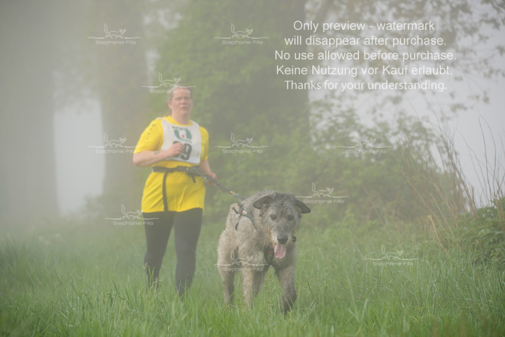 SA_GL2-241 | stephaniefillaphotographie - Realisiert mit Pictrs.com