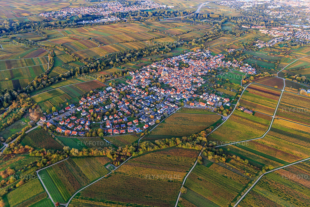 Luftbild: Ortsansicht von Südwesten im Ortsteil Arzheim in Landau im Bundesland Rheinland-Pfalz in Deutschland. Foto: IMG_135137.jpg vom 22.10.2022 durch Werner Riehm/FLY-FOTO.de