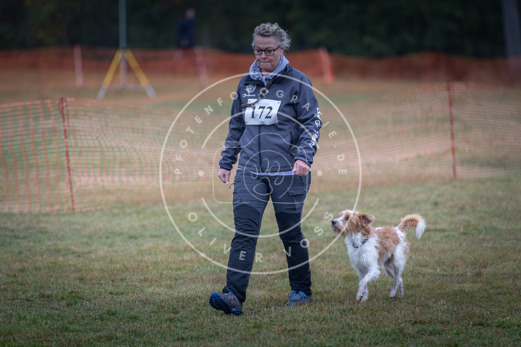 Pfotenfotografie_DV3A9195 | Hundefotografie, Tierfotograf, Pfotenfotografie, Fotoshooting Hund, Hunde Portrait, Hundesport, Hundeportraits, Heideshooting, Hunde, Sportfotograf, Hundefotograf, Turnierhundsport, THS,  - Realisiert mit Pictrs.com