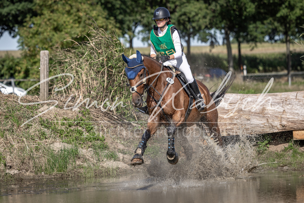 20250907-_3LI2933 | Tierfotografie Pferde, Hunde, Katzen, Haustiere.
Turnierfotografie Reitturniere, Reiten, Springreiten, Dressur in Hanau, dem Main-Kinzig-Kreis und dem Rhein-Main- Gebiet um Frankfurt
