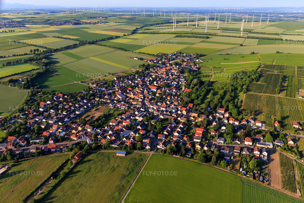 Luftbild: Ortsansicht aus Nordwesten im Ortsteil Heßloch in Dittelsheim-Heßloch im Bundesland Rheinland-Pfalz in Deutschland. Foto: IMG_107655.jpg vom 03.06.2018 durch Werner Riehm/FLY-FOTO.de