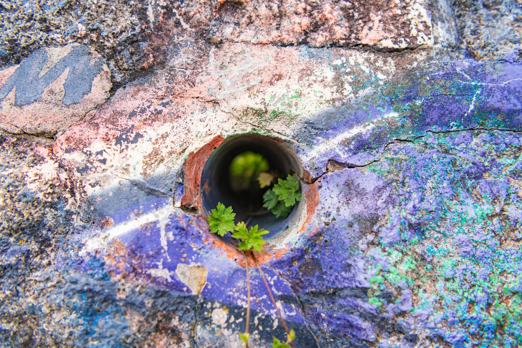 2022_07_10_HH-OEVELGOENNE_MCP0712 | Hochwertig gedruckte Fotografien für die Wand, als Kalender und zum Verschenken. Hamburg & Norddeutschland und überall wo ich mit der Kamera unterwegs war.