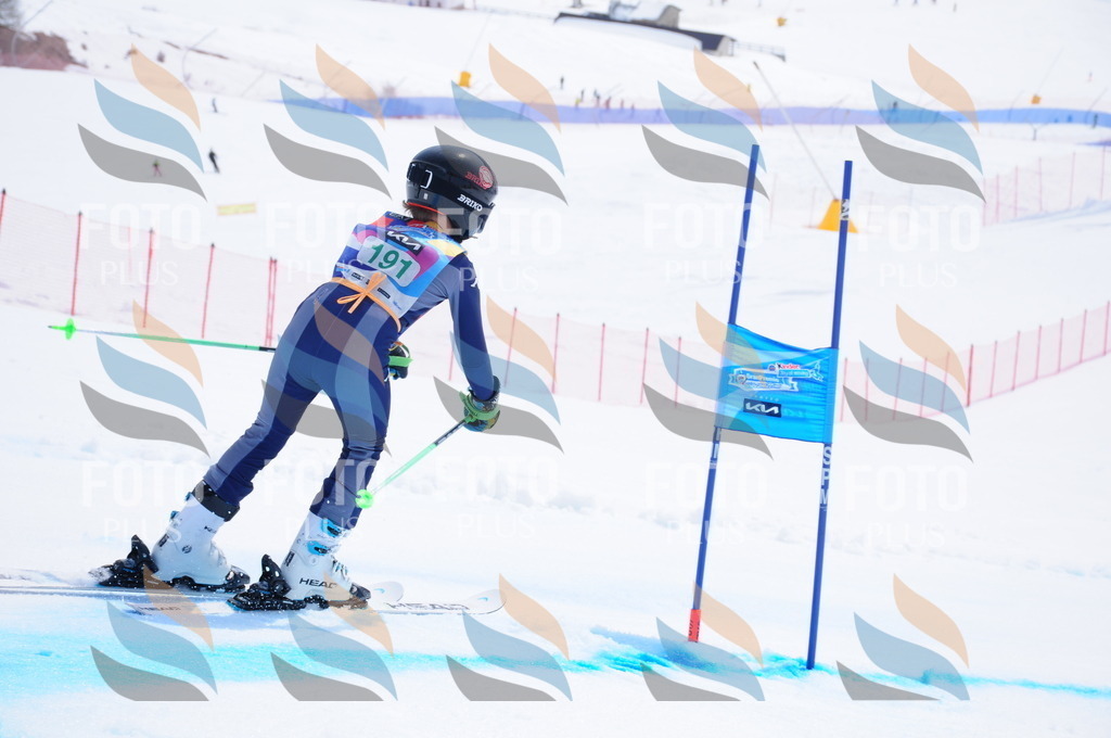 DSC_1700 | holidayphoto