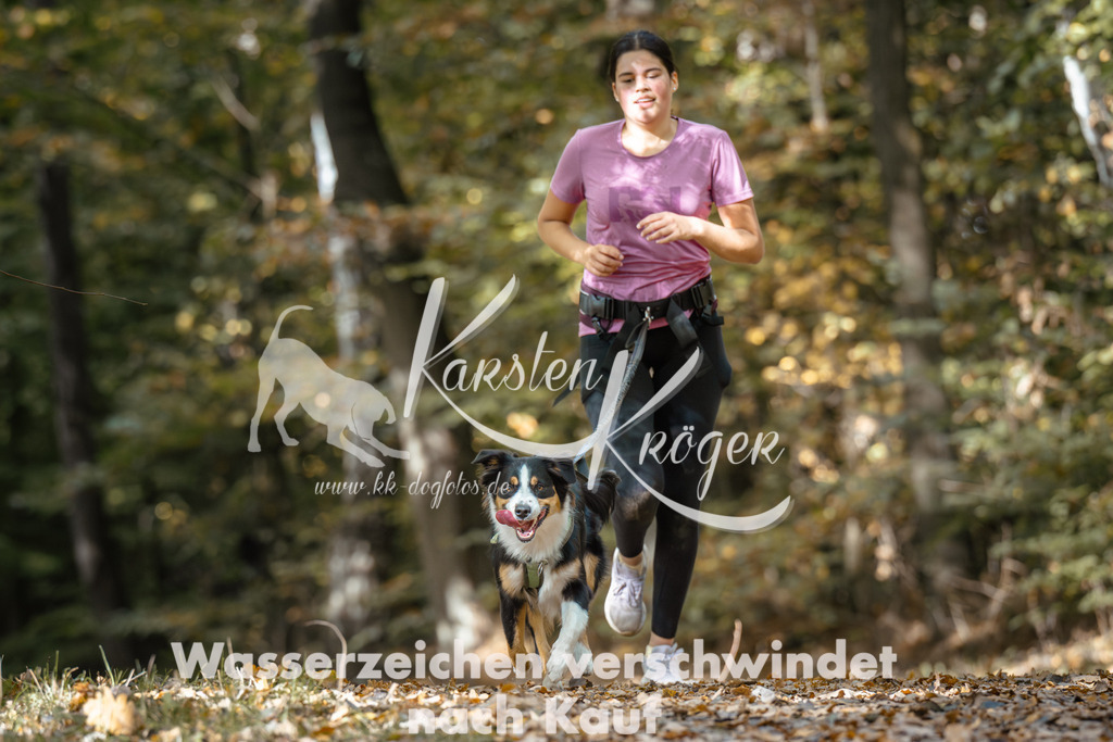 1251_ZZ96442 | kk-dogfotos