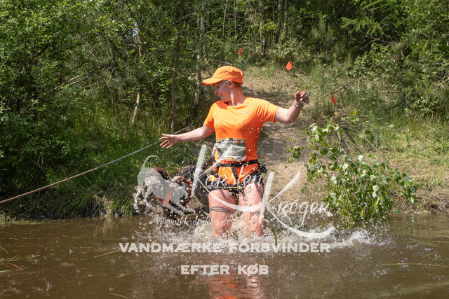 1328DKK994159 | kk-dogfotos