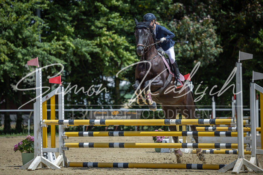 20260704-_3LI9698 | Tierfotografie Pferde, Hunde, Katzen, Haustiere.
Turnierfotografie Reitturniere, Reiten, Springreiten, Dressur in Hanau, dem Main-Kinzig-Kreis und dem Rhein-Main- Gebiet um Frankfurt