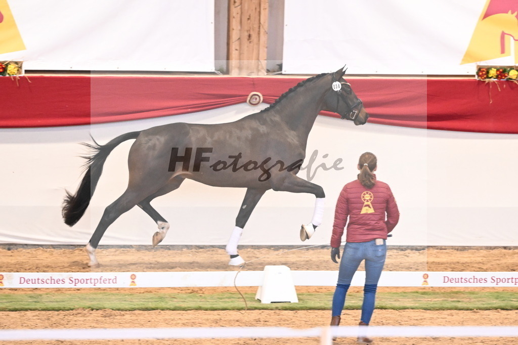 Kat.-Nr. 56 v. Feliciano_Breitner-Rötzer_3260417 | hf-fotografie - Realisiert mit Pictrs.com