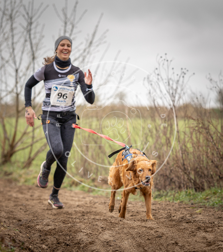 DV3A0111 | Hundefotografie, Tierfotograf, Pfotenfotografie, Fotoshooting Hund, Hunde Portrait, Hundesport, Hundeportraits, Heideshooting, Hunde, Sportfotograf, Hundefotograf, Turnierhundsport, THS,  - Realisiert mit Pictrs.com