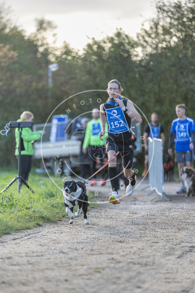 Pfotenfotografie.de_DV3A2731 | Hundefotografie, Tierfotograf, Pfotenfotografie, Fotoshooting Hund, Hunde Portrait, Hundesport, Hundeportraits, Heideshooting, Hunde, Sportfotograf, Hundefotograf, Turnierhundsport, THS, canicross - Realisiert mit Pictrs.com