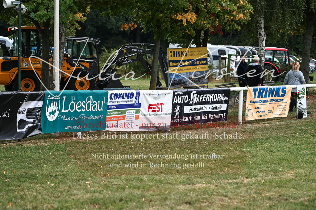 DSC_5415 | Pferde- und Turnierfotografie in Westsachsen. Pferdeportraits, Auftragszeichnungen und intuitive Kunst.