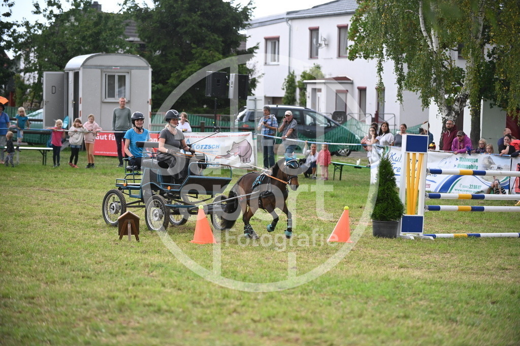 DSC_8609 | sattelsport - Realisiert mit Pictrs.com