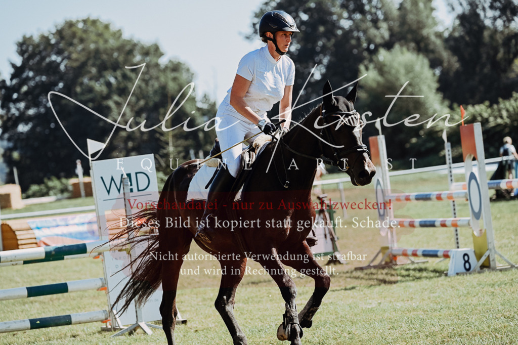 DSC_5677 | Pferde- und Turnierfotografie in Westsachsen. Pferdeportraits, Auftragszeichnungen und intuitive Kunst.