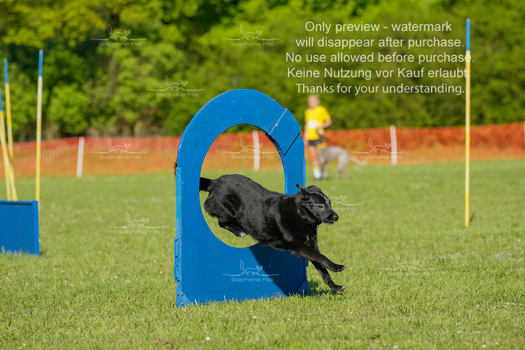 Sa_CSC-525 | stephaniefillaphotographie - Realisiert mit Pictrs.com