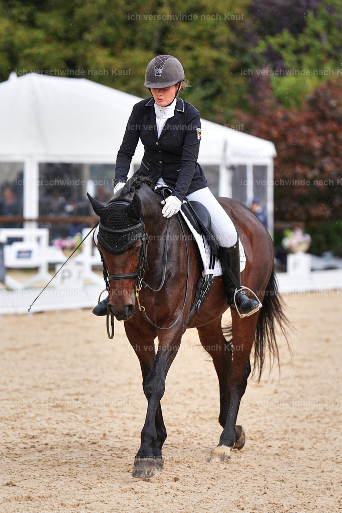 05-011-DRESSUR M_  -Marixx-4962 | working equitationturnier fotograf videograf stoibphotography marixx film working equitation deutschland reitsport turnierfotografie eventfotografie equestrian events