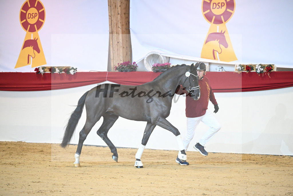 Kat-Nr. 47 Escamillo_Nowak Sonnenbrink GmbH_1231351 | hf-fotografie - Realizzato con Pictrs.com