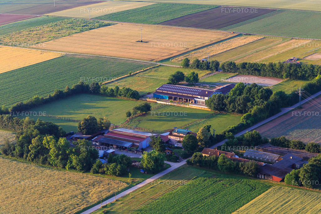 Luftbild: Rosenhof, Gärtnerhof und Reitanlage des Eichenhof Seither in Ottersheim bei Landau im Bundesland Rheinland-Pfalz in Deutschland. Foto: IMG_148286.jpg vom 17.06.2025 durch Werner Riehm/FLY-FOTO.de