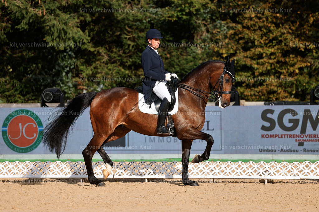 13-226-S___ -StoibPH-6912 | working equitationturnier fotograf videograf stoibphotography marixx film working equitation deutschland reitsport turnierfotografie eventfotografie equestrian events