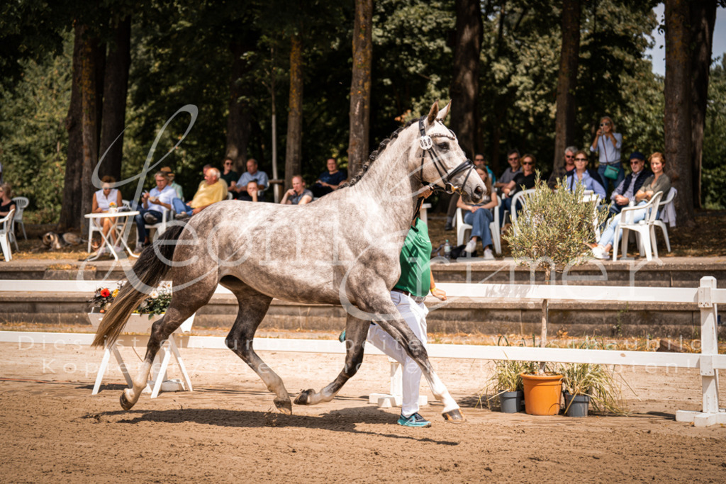 1.Fr00087 | Leoni Ertmer Photography - Realisiert mit Pictrs.com