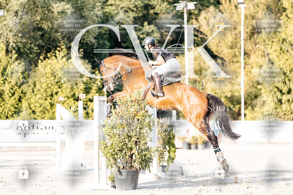 CK903475 | Turnierfotografie Pferdefotografie Trier Rheinland-Pfalz Pferdesport Reitsport Tierfotografie Sportfotografie Pferdevideo Pferdevideografie Equestrianvideography equestrianphotography  - Realisiert mit Pictrs.com