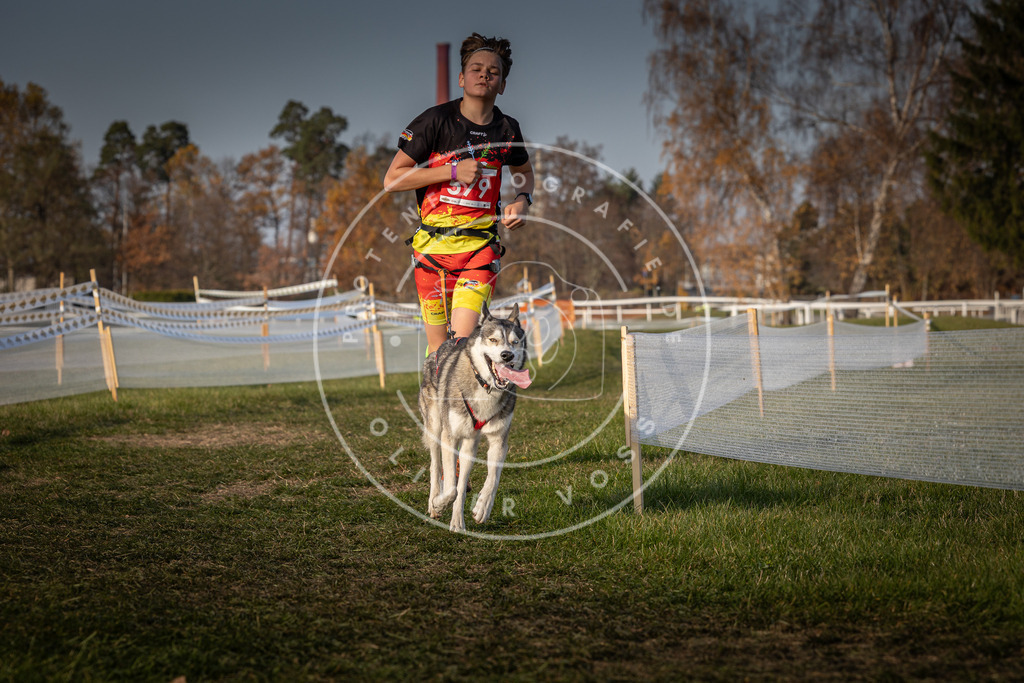 CaniXpix_0L8A9690 | Hundefotografie, Tierfotograf, Pfotenfotografie, Fotoshooting Hund, Hunde Portrait, Hundesport, Hundeportraits, Heideshooting, Hunde, Sportfotograf, Hundefotograf, Turnierhundsport, THS,  - Realisiert mit Pictrs.com
