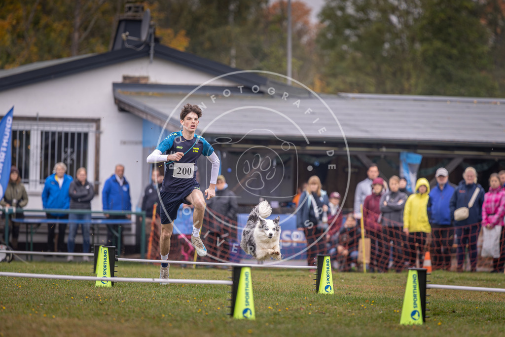 Pfotenfotografie_DV3A0829 | Hundefotografie, Tierfotograf, Pfotenfotografie, Fotoshooting Hund, Hunde Portrait, Hundesport, Hundeportraits, Heideshooting, Hunde, Sportfotograf, Hundefotograf, Turnierhundsport, THS,  - Realisiert mit Pictrs.com