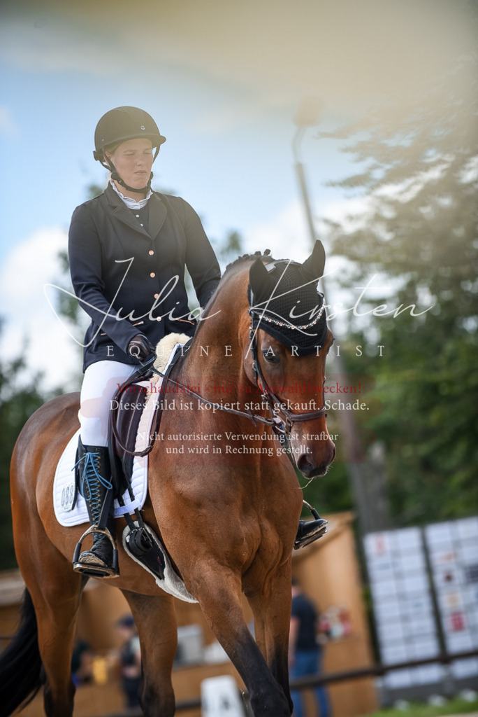 DSC_9006 | Pferde- und Turnierfotografie in Westsachsen. Pferdeportraits, Auftragszeichnungen und intuitive Kunst.