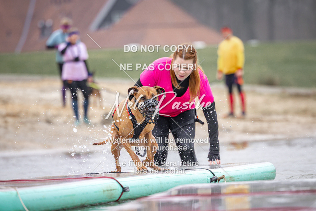 nelerasche_Hulsbeek_Sa1030-1100_188 | nelerasche