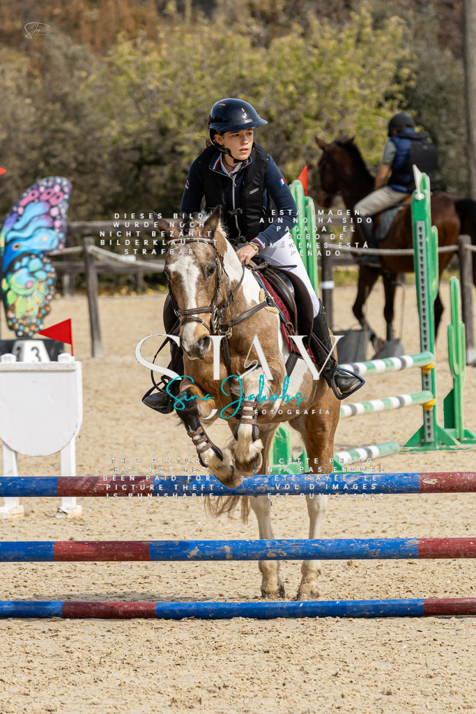 IMG_3362 | s-jay-photography - Realisiert mit Pictrs.com