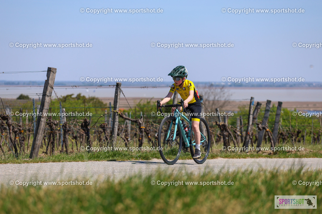 IMG_8863 | @sportshot_your_pictrs #yourpictures#roadtowm2029 #nrm #neusiedlerseeradmarathon #neusiedlersee #neusiedlerseetourismus #burgenland #mörbisch #nrm26 #burgenlandtourismus #voglundco #poweredbyburgenlandtourismus #radsport #rad #marathon #ucigranfondo #visitburgenland #ucigranfondoworldseries