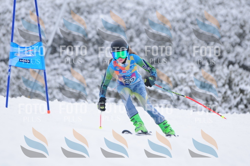 C2662 | holidayphoto