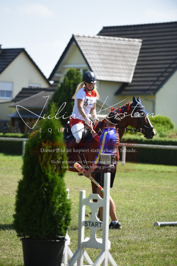DSC_0347 | Pferde- und Turnierfotografie in Westsachsen. Pferdeportraits, Auftragszeichnungen und intuitive Kunst.