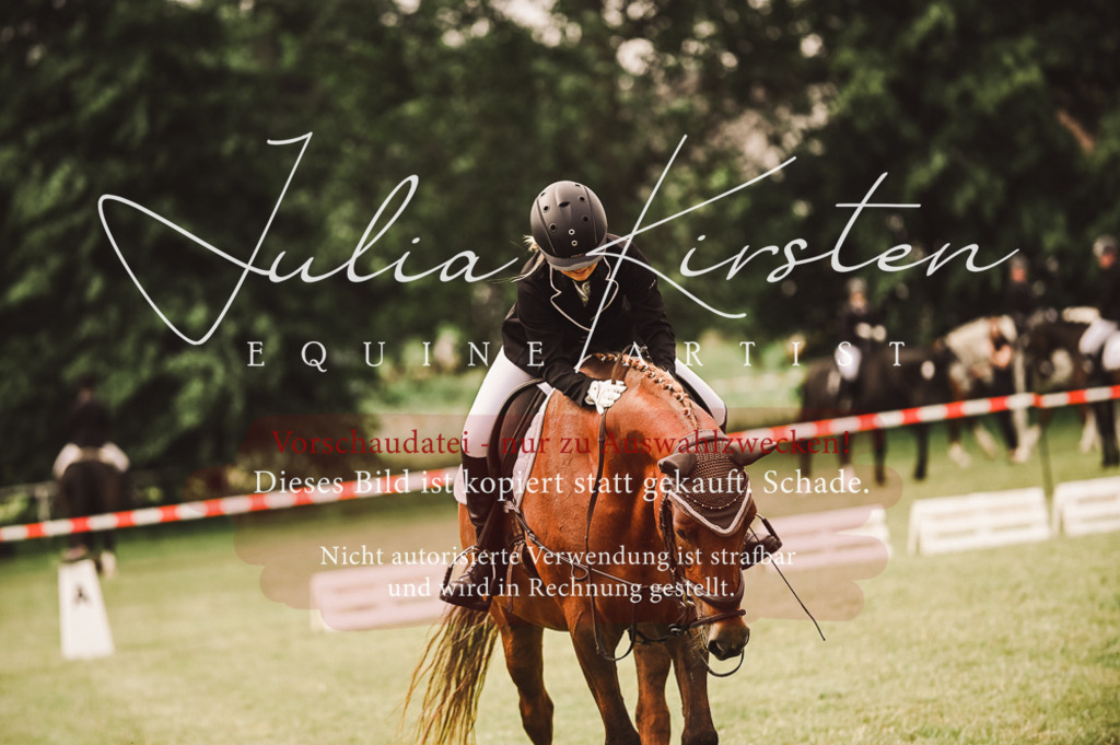 DSC_4871 | Pferde- und Turnierfotografie in Westsachsen. Pferdeportraits, Auftragszeichnungen und intuitive Kunst.