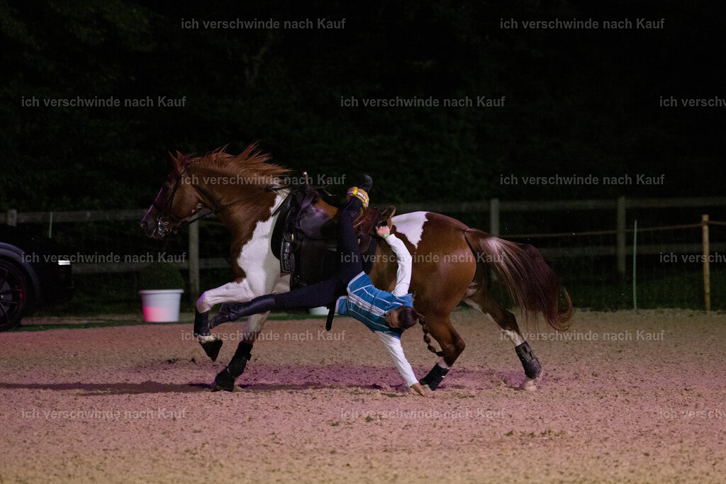 Gala-595 | working equitationturnier fotograf videograf stoibphotography marixx film working equitation deutschland reitsport turnierfotografie eventfotografie equestrian events