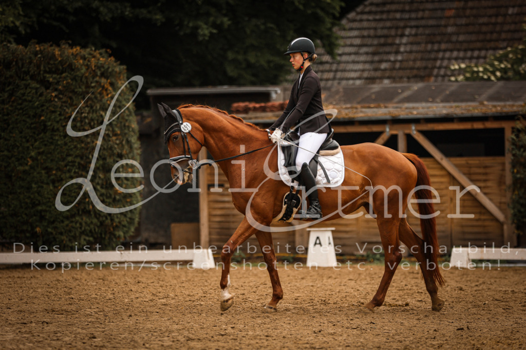 DoDrA200024 | Leoni Ertmer Photography - Realisiert mit Pictrs.com