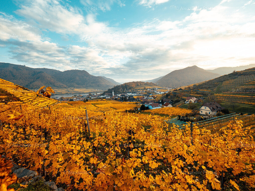 foto_c_pfeffel-partner-0213-P1011853 | alexander-pfeffel - Realisiert mit Pictrs.com