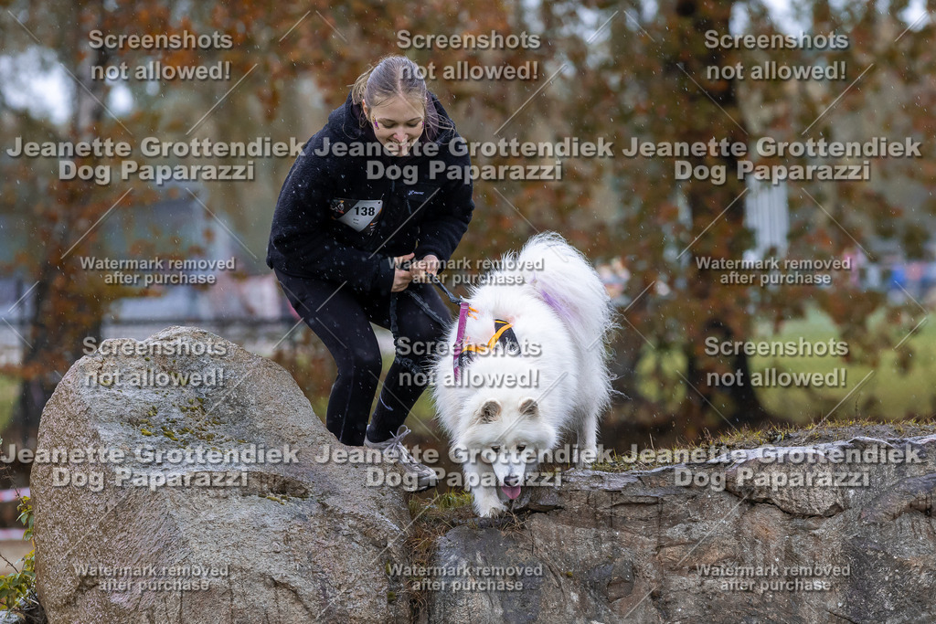 Dog Paparazzi - SD CaniX Championship 2025-759 | Dog Paparazzi Jeanette Grottendiek Fotografie & Videografie - Realisiert mit Pictrs.com