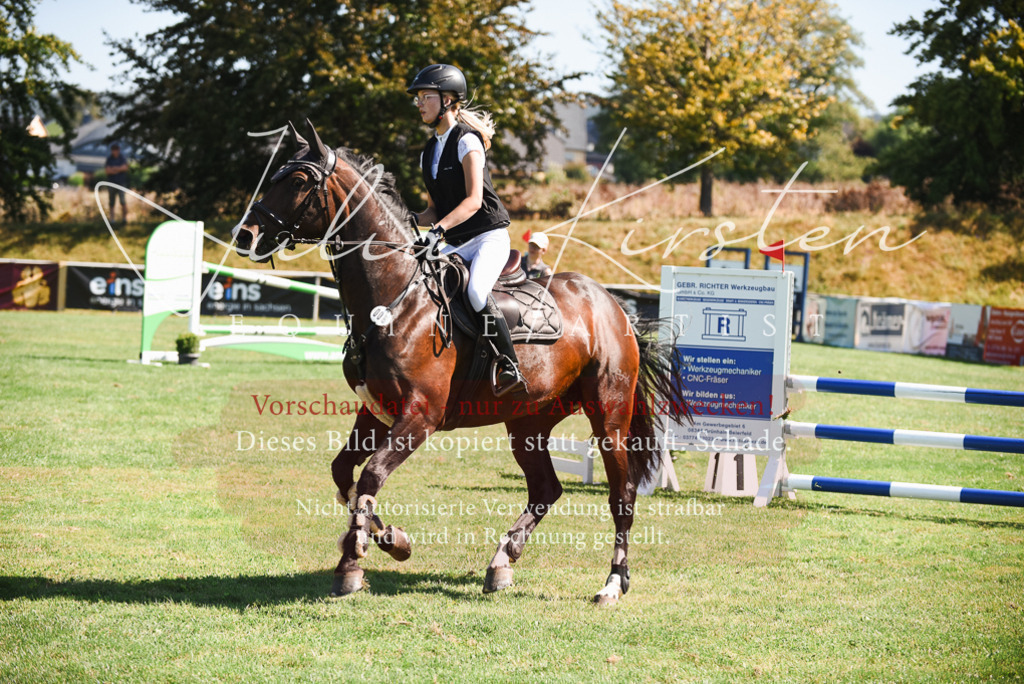 DSC_2709 | Pferde- und Turnierfotografie in Westsachsen. Pferdeportraits, Auftragszeichnungen und intuitive Kunst.