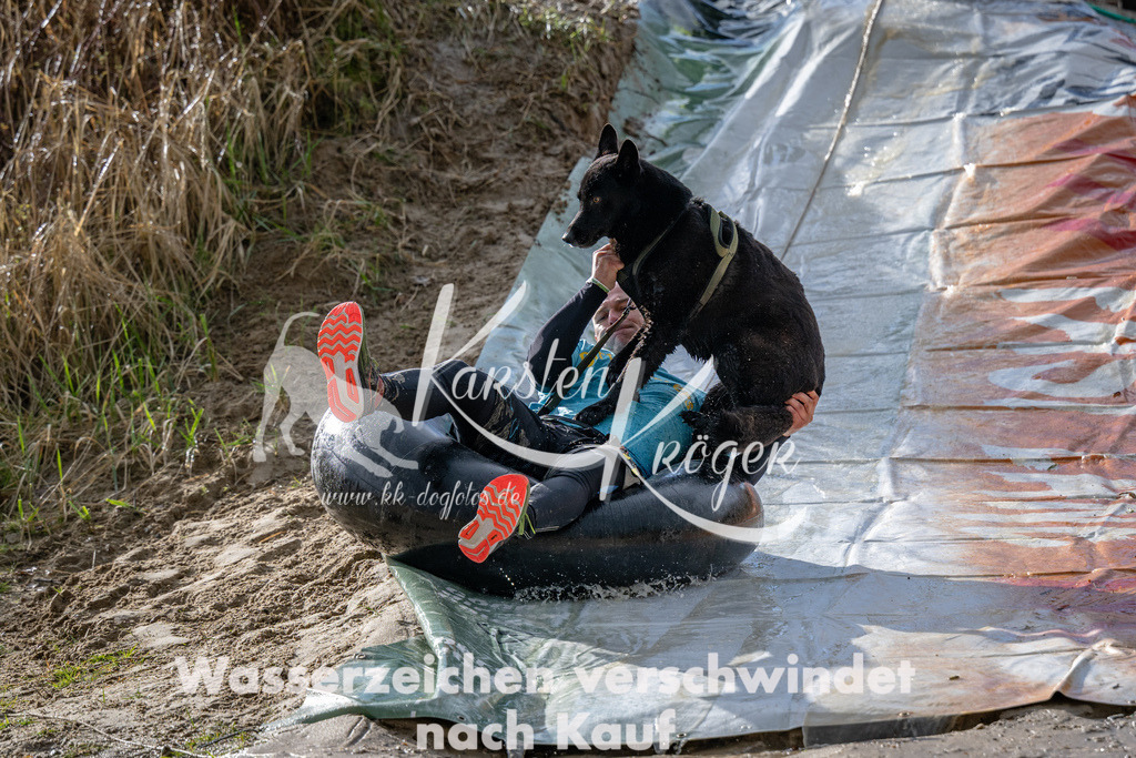 1548_ZZ91477 | kk-dogfotos