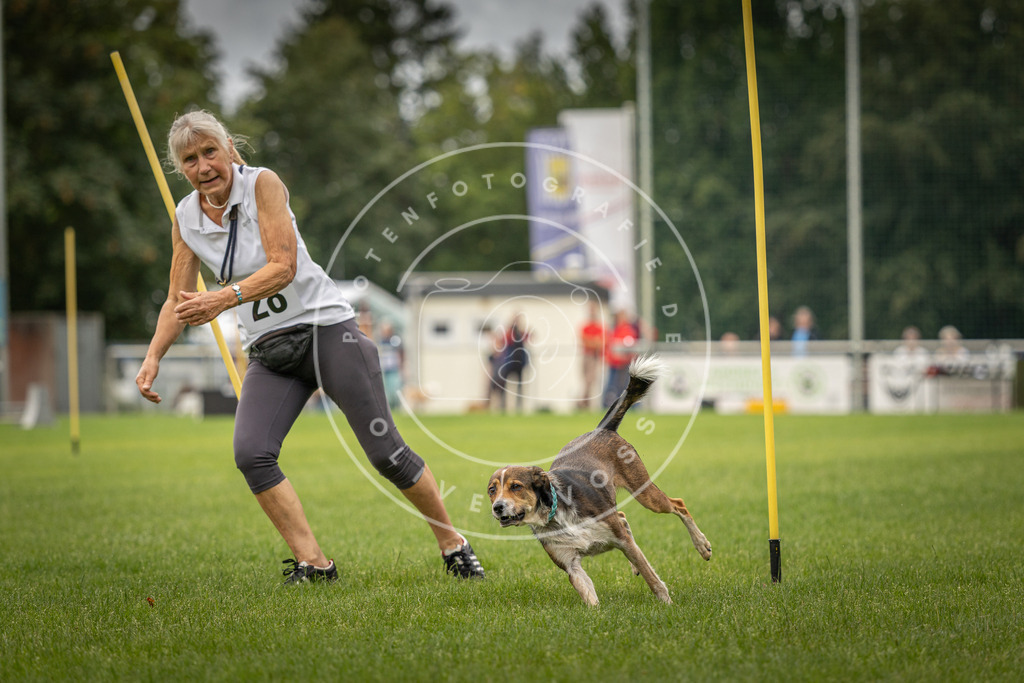 Pfotenfotografie_DV3A8190 | Hundefotografie, Tierfotograf, Pfotenfotografie, Fotoshooting Hund, Hunde Portrait, Hundesport, Hundeportraits, Heideshooting, Hunde, Sportfotograf, Hundefotograf, Turnierhundsport, THS,  - Realisiert mit Pictrs.com