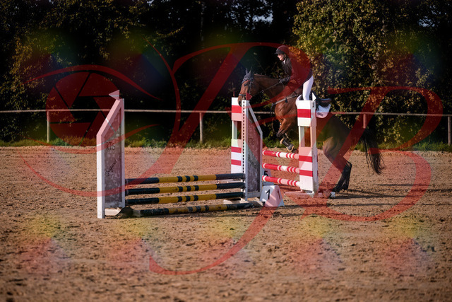 2026_10_03_Siefer-Hof_161048_Z81_90463112 | Professionelle Reitsport-, Turnier- und Eventfotografie von Robert Broda. Galerien mit ausgewählten und bearbeiteten Bildern direkt online ansehen und bestellen.