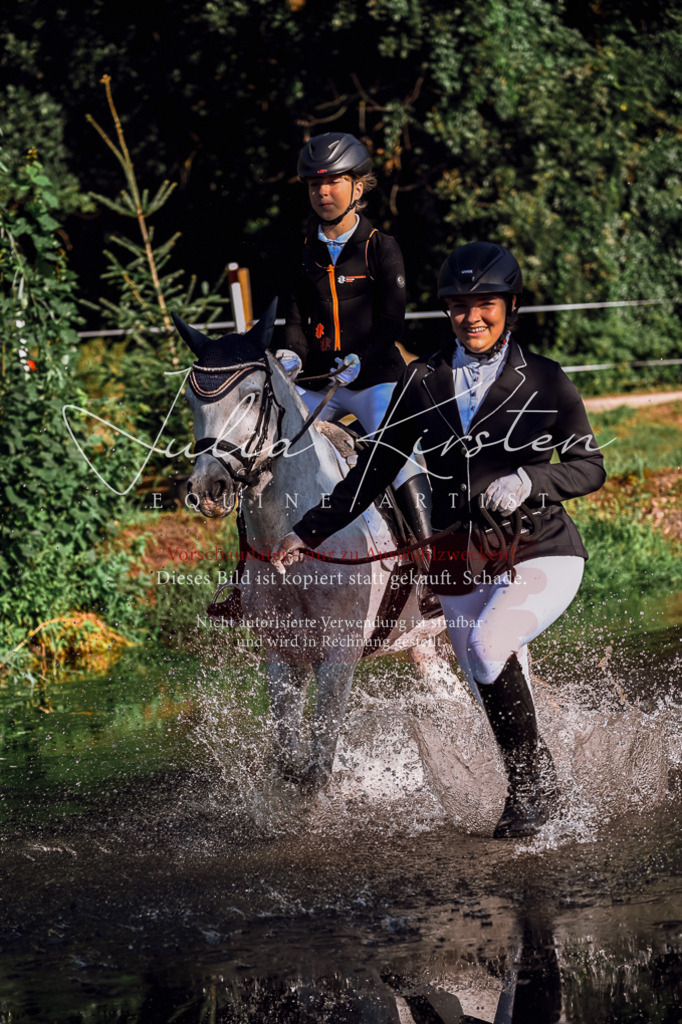 DSC_0445 | Pferde- und Turnierfotografie in Westsachsen. Pferdeportraits, Auftragszeichnungen und intuitive Kunst.