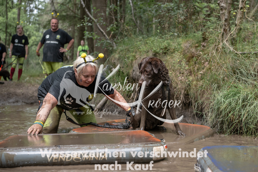 1336_ZZ94921 | kk-dogfotos