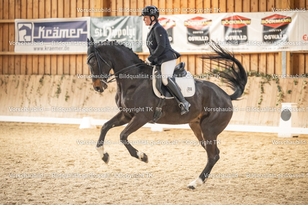 _D5A9649 | Emotionale Pferde- & People-Fotografie rund um Heidelberg, Leimen & Umgebung. Natürliche Fotos von Pferd, Mensch & Familie. Jetzt Termin sichern!