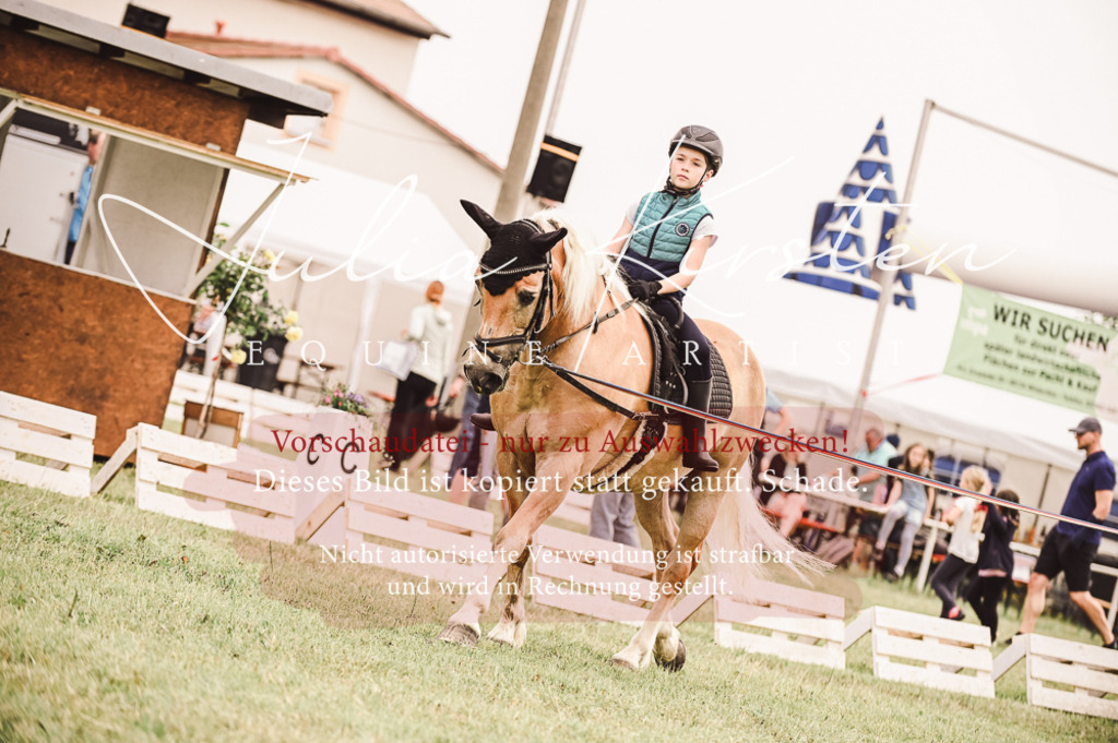 DSC_5330 | Pferde- und Turnierfotografie in Westsachsen. Pferdeportraits, Auftragszeichnungen und intuitive Kunst.