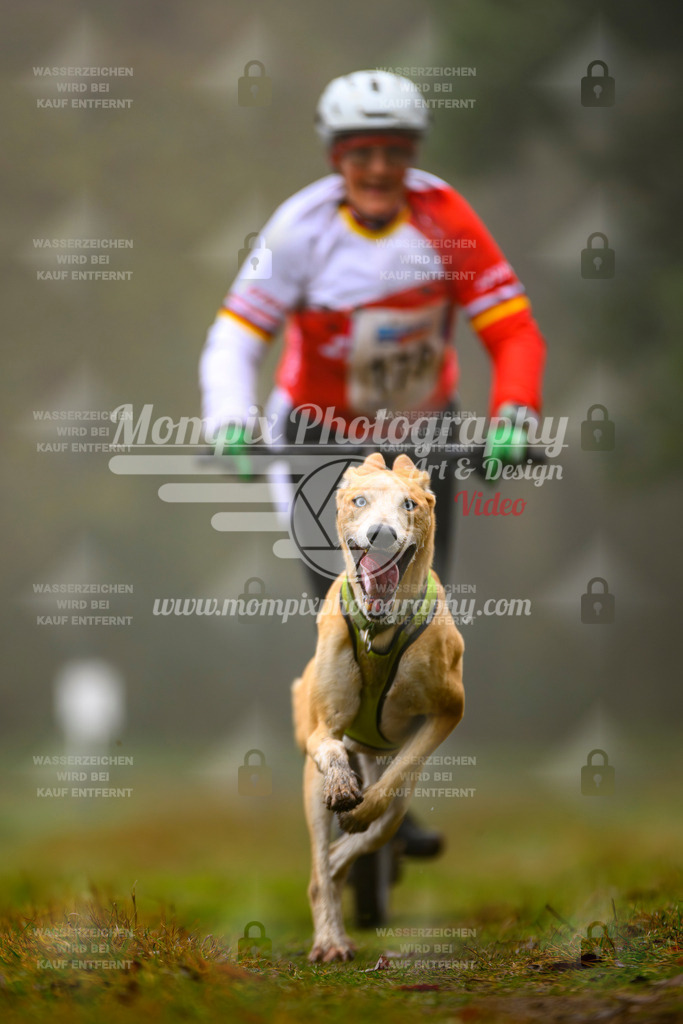 MompixPhotography_Bischwiller2025_Scooter-60 | mompixphotography