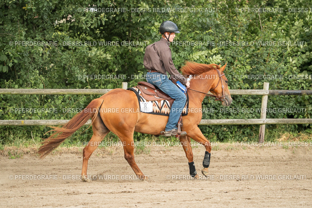 DSC05176 | Pferdegrafie