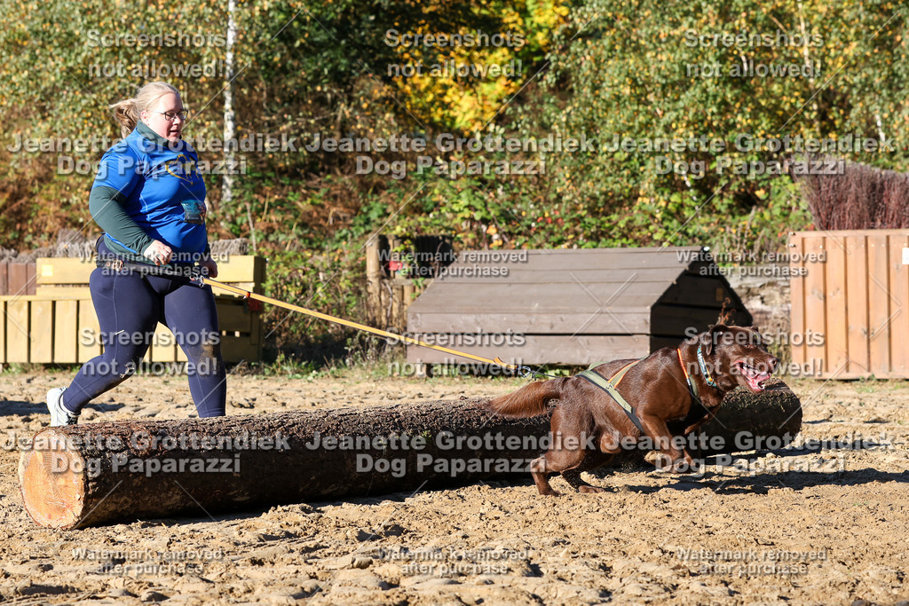 Dog Paparazzi - Strongdog 10-25-1670 | Dog Paparazzi Jeanette Grottendiek Fotografie & Videografie - Realisiert mit Pictrs.com