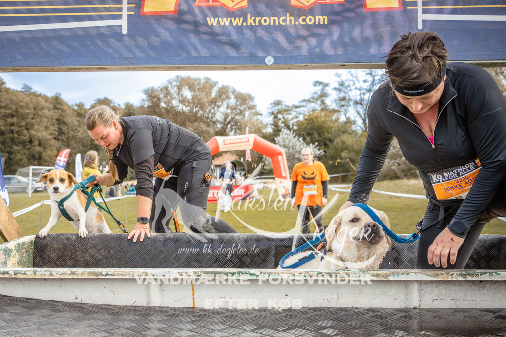 1350_ZZ92349-2 | kk-dogfotos