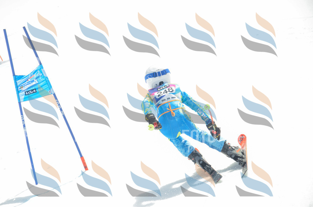 _ELE7527 | holidayphoto