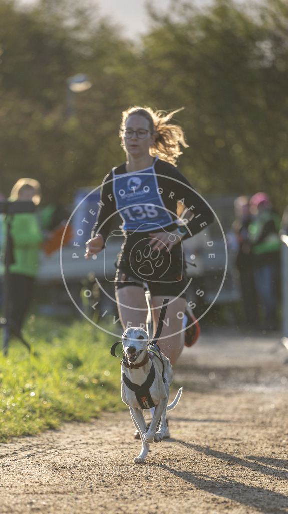 Pfotenfotografie.de_DV3A2981 | Hundefotografie, Tierfotograf, Pfotenfotografie, Fotoshooting Hund, Hunde Portrait, Hundesport, Hundeportraits, Heideshooting, Hunde, Sportfotograf, Hundefotograf, Turnierhundsport, THS, canicross - Realisiert mit Pictrs.com